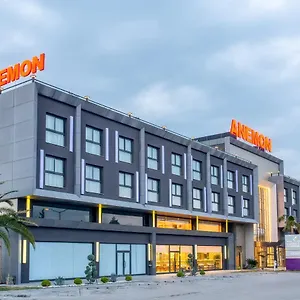 Anemon Aydın